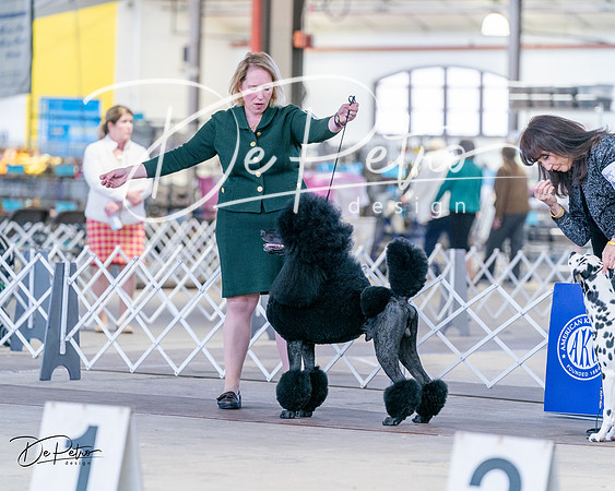 20240331-DSC04847