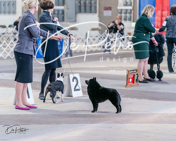 20240331-DSC04890