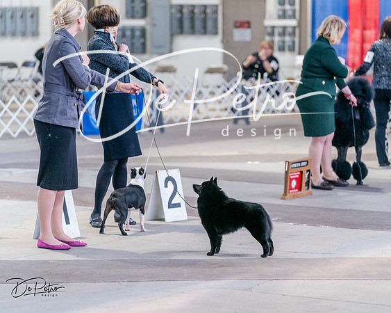 20240331-DSC04891