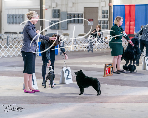20240331-DSC04893