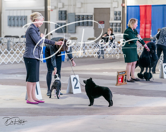 20240331-DSC04894