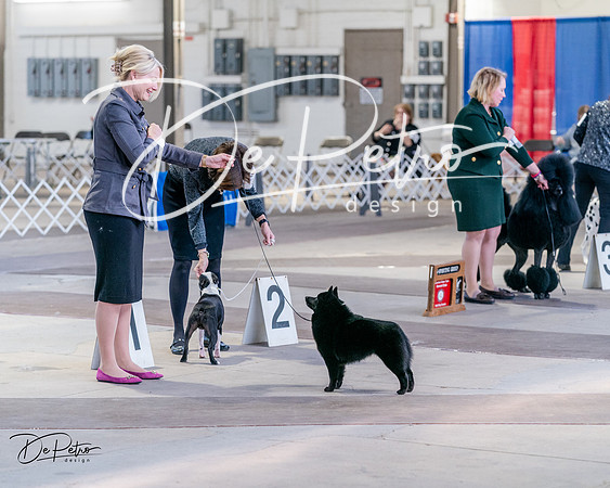 20240331-DSC04895