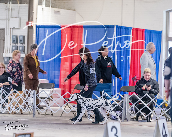 20240331-DSC04377