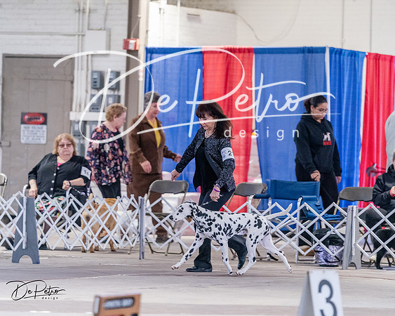 20240331-DSC04381