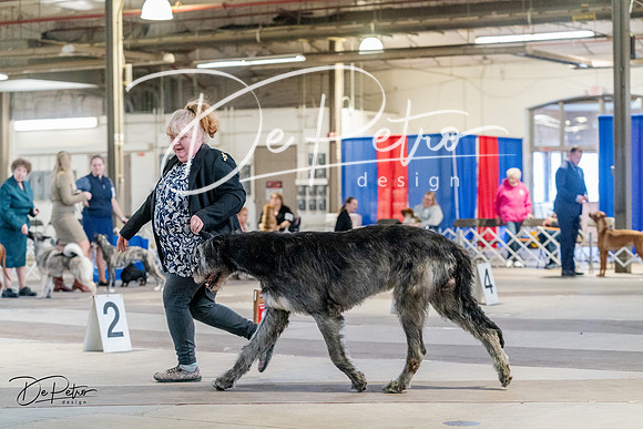 20240331-DSC04945
