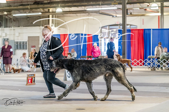 20240331-DSC04939