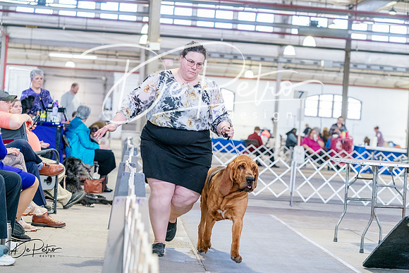 20240331-DSC05074