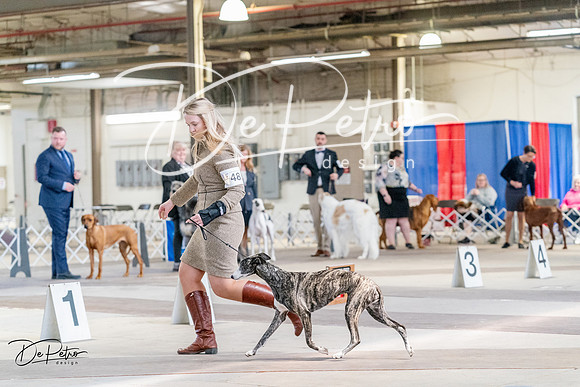 20240331-DSC05177