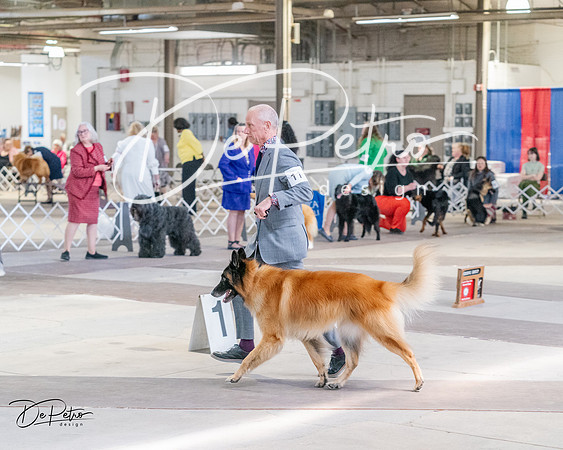 20240331-DSC05236