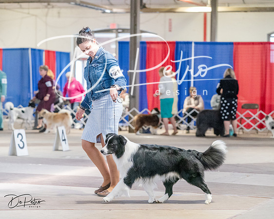 20240331-DSC05244