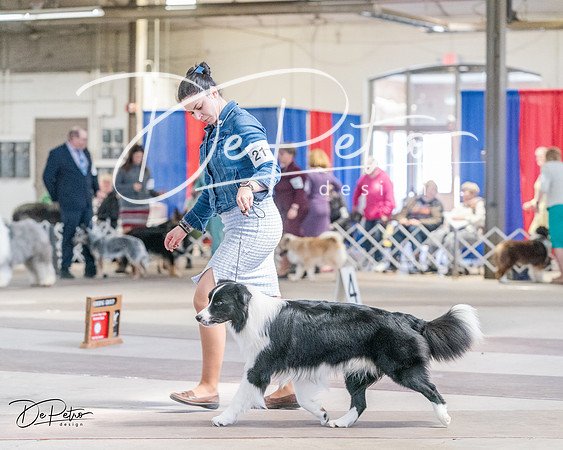 20240331-DSC05253