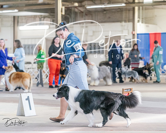 20240331-DSC05265
