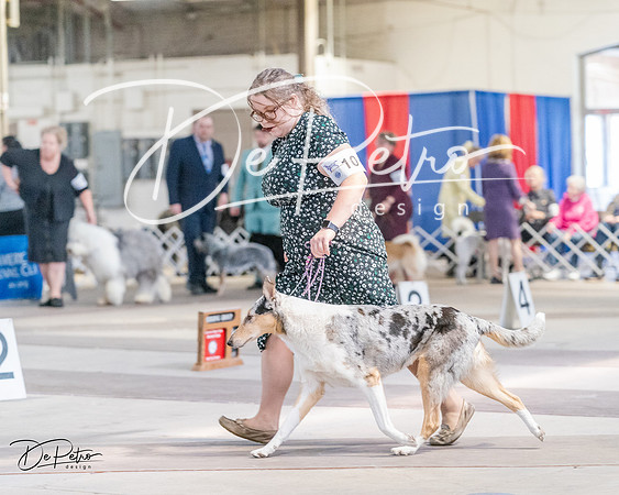 20240331-DSC05276
