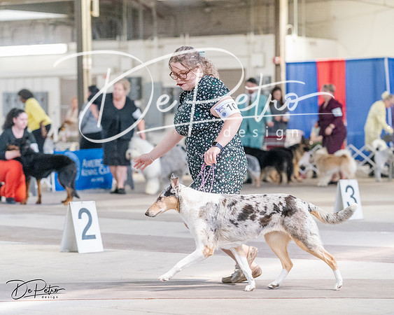 20240331-DSC05280