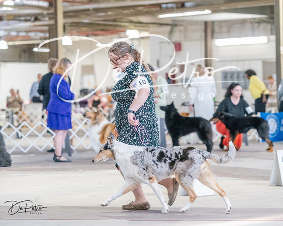 20240331-DSC05295
