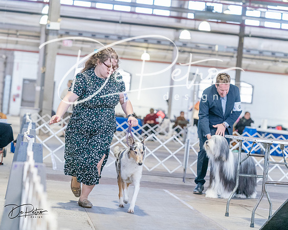 20240331-DSC05305