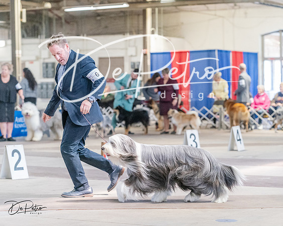 20240331-DSC05321