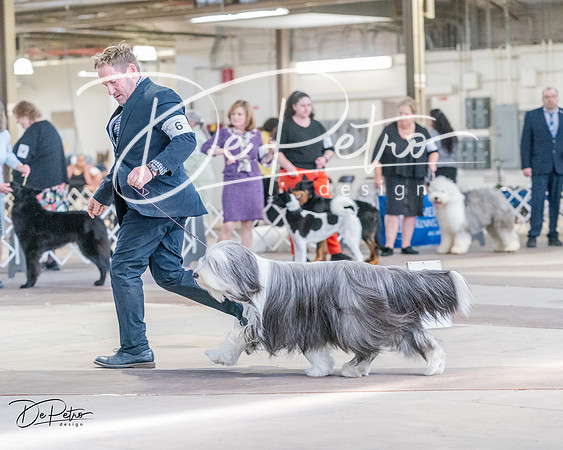 20240331-DSC05335