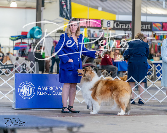 20240331-DSC05354