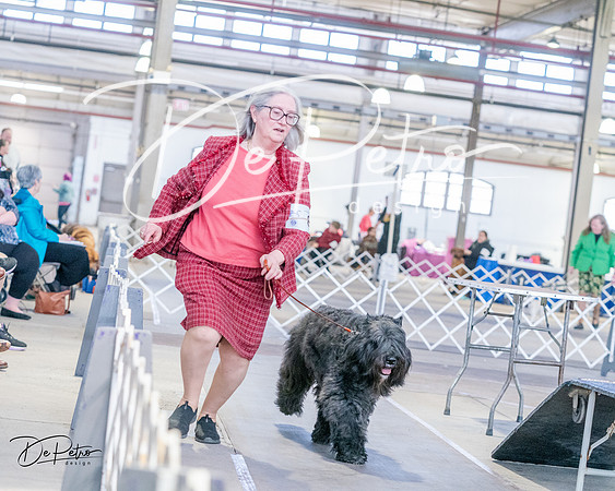 20240331-DSC05374