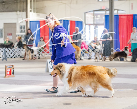 20240331-DSC05382