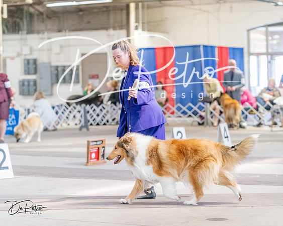 20240331-DSC05387