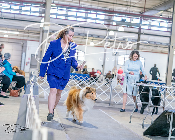 20240331-DSC05405