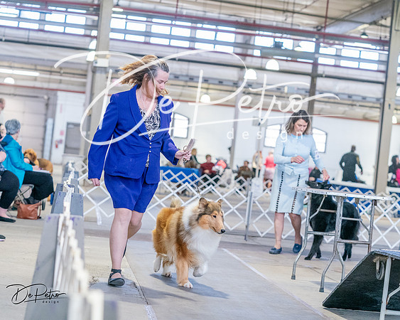 20240331-DSC05407