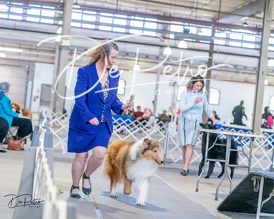 20240331-DSC05410