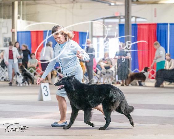 20240331-DSC05422