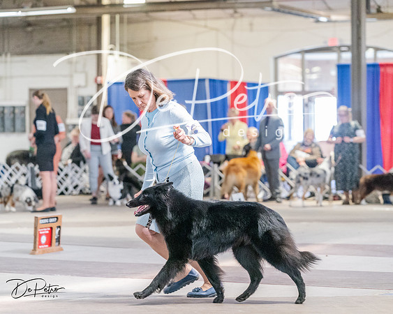 20240331-DSC05425