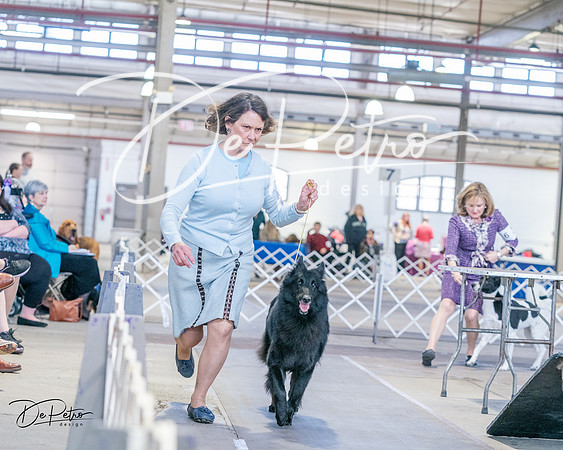 20240331-DSC05447