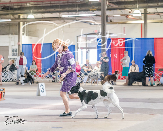 20240331-DSC05456
