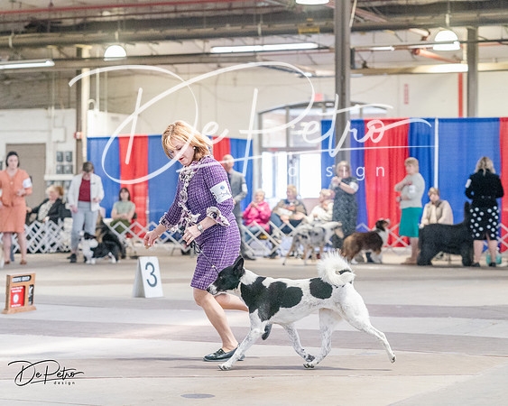 20240331-DSC05457
