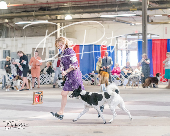 20240331-DSC05461