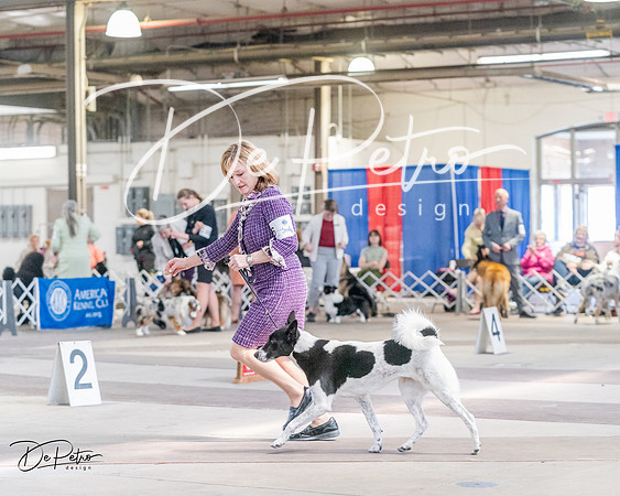 20240331-DSC05465