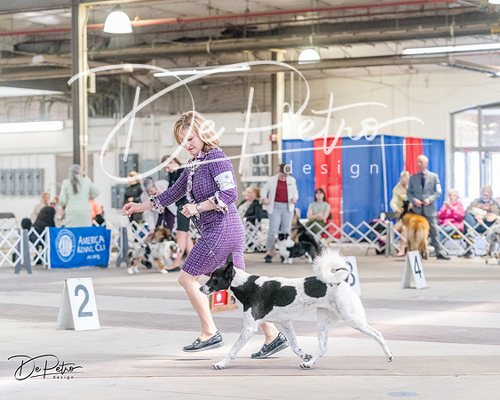 20240331-DSC05466
