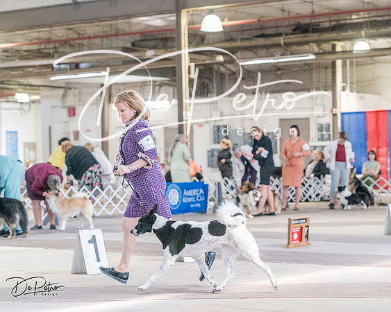 20240331-DSC05474