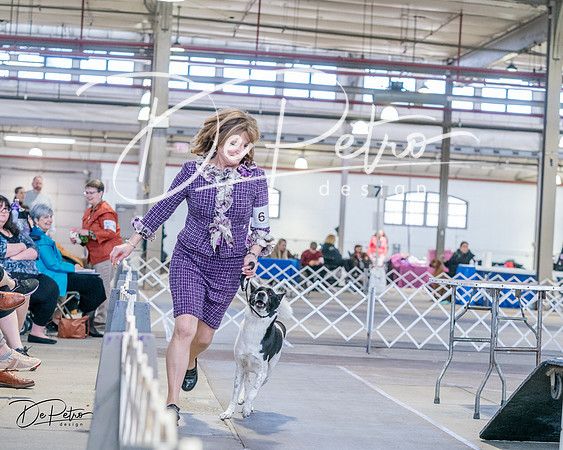 20240331-DSC05484
