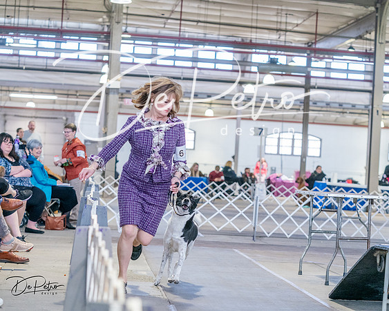 20240331-DSC05485