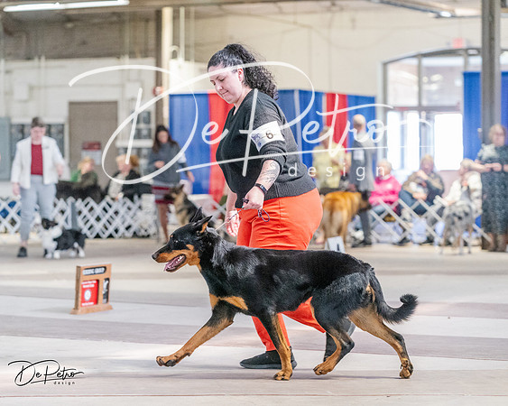 20240331-DSC05506