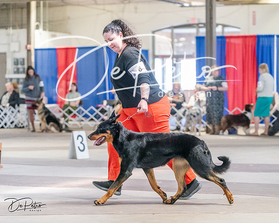 20240331-DSC05502