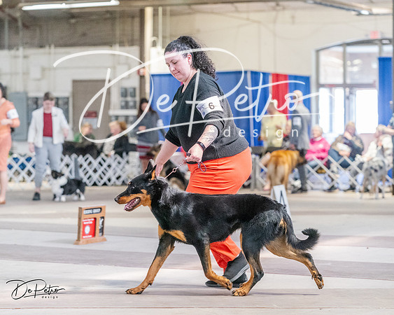 20240331-DSC05507