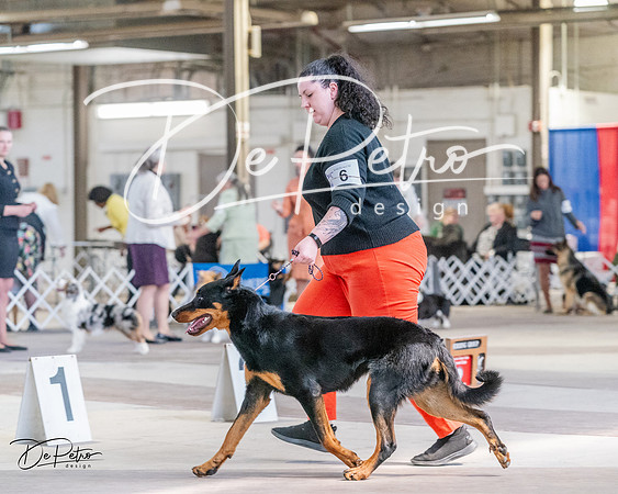 20240331-DSC05516