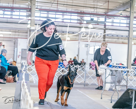 20240331-DSC05532