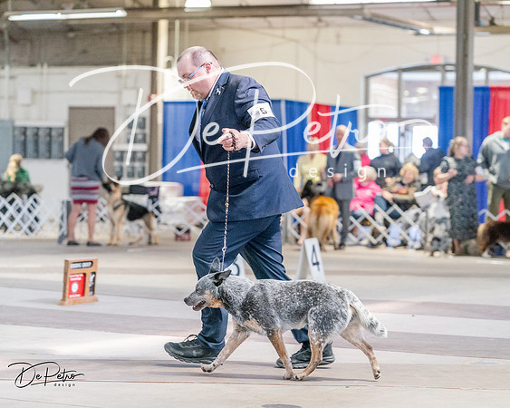 20240331-DSC05587