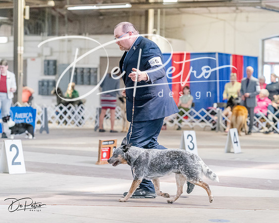 20240331-DSC05591