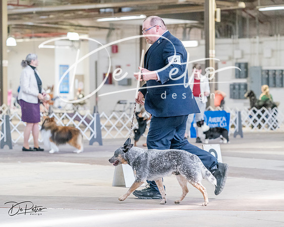 20240331-DSC05604