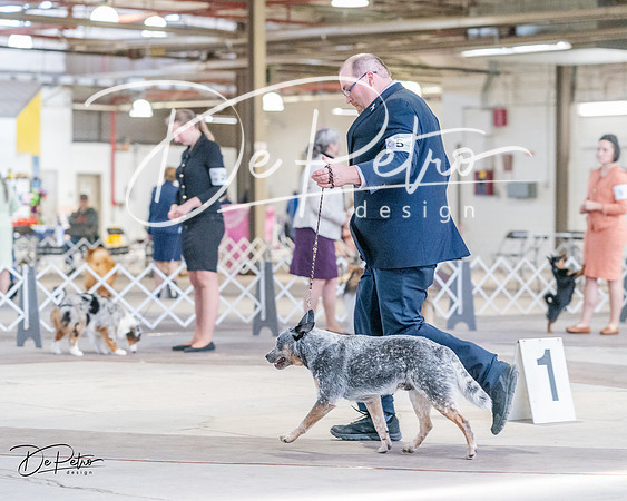 20240331-DSC05611