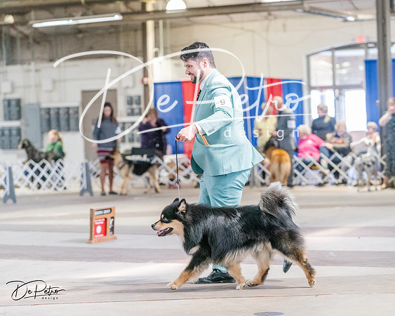 20240331-DSC05638